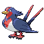 Swellow